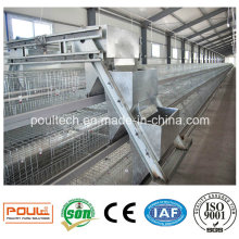 Automatischer Pullet Cage Baby Chicken Cage